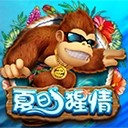 Www.yaxin333.com